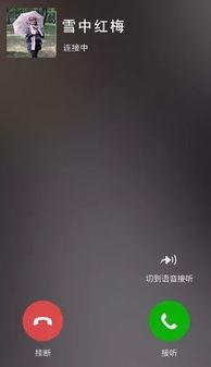 视频通话的声音,揭秘视频通话中的声音魅力