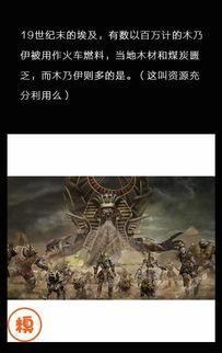 夜七次郎免费视频,揭秘免费视频背后的秘密与诱惑