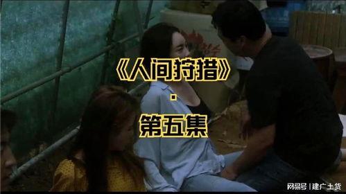 成人必看视频,生活智慧与人生哲理深度解析