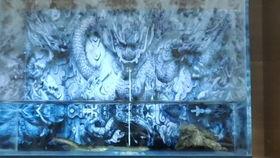 大鳄钓鱼视频,惊心动魄的捕鱼奇观