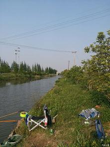 太仓钓鱼视频,捕捉自然之美