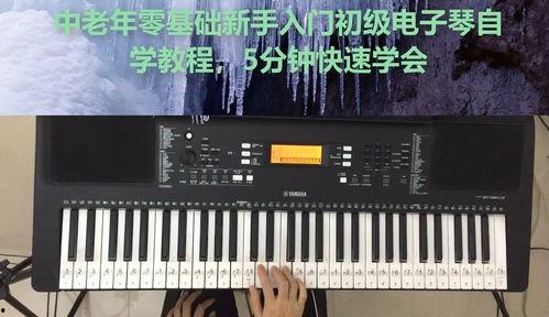 电子琴教程免费视频,轻松入门，掌握音乐节奏与旋律