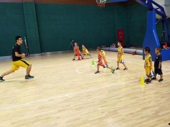 青少年篮球训练视频,训练视频中的成长轨迹与技巧解析