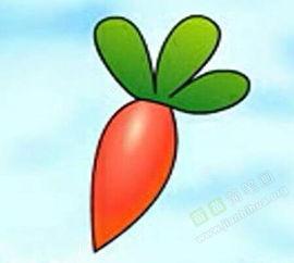 怎样种萝卜视频教程,轻松学会萝卜种植技巧