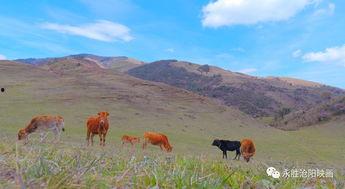 橹尔山在线视频播放,揭秘神秘山川的壮丽风光与传说故事