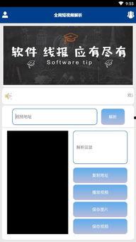 视频分析下载,下载与生成技术揭秘