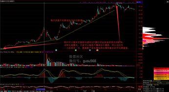 有什么好的炒股视频,掌握投资智慧，轻松驾驭股市波动