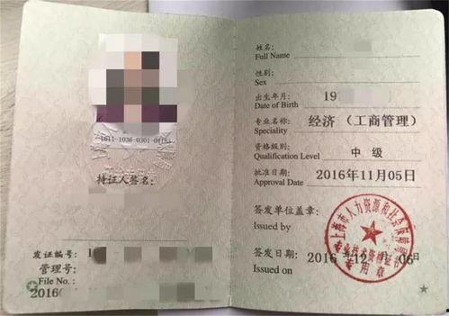 中级经济师视频,中级经济师视频课程精华概述