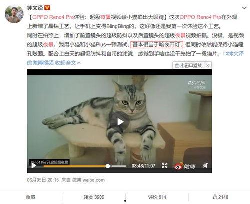 夜猫子视频在线,在线视频带你探索深夜生活奥秘