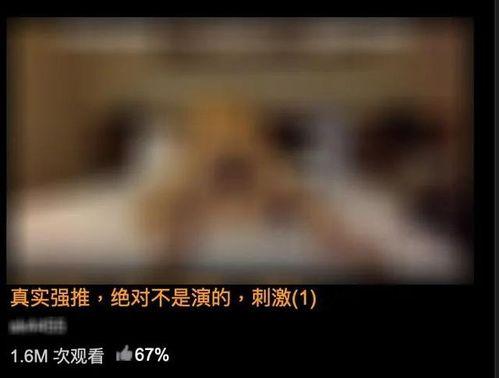 哪里能看黄色视频