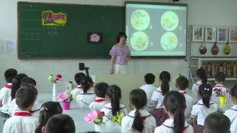 小学美术课视频,小学美术课堂视频回顾