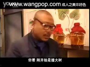 药匣子经典视频,揭秘日常用药的误区与真相